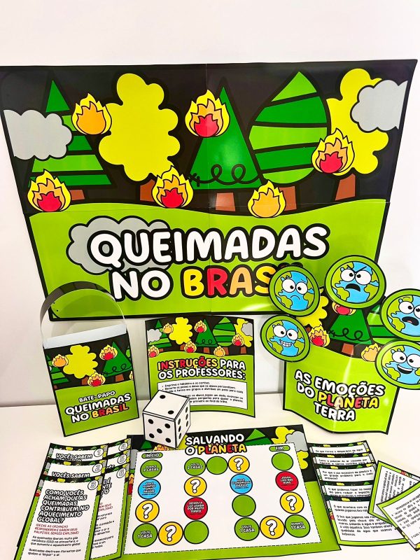 Queimadas no Brasil