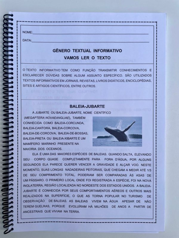 Combo Gêneros Textuais - Volume 1,2 e 3 - Image 11