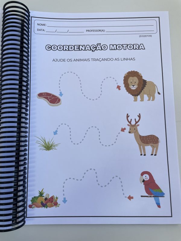 Apostila Maternal e Pré-Escola - Imagem 2