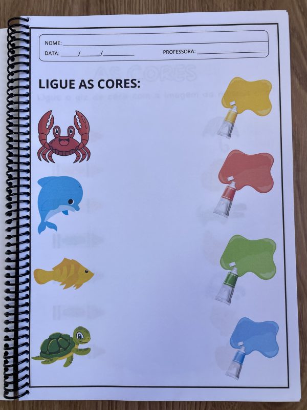 Apostila Alfabetização - Autismo - Imagem 11
